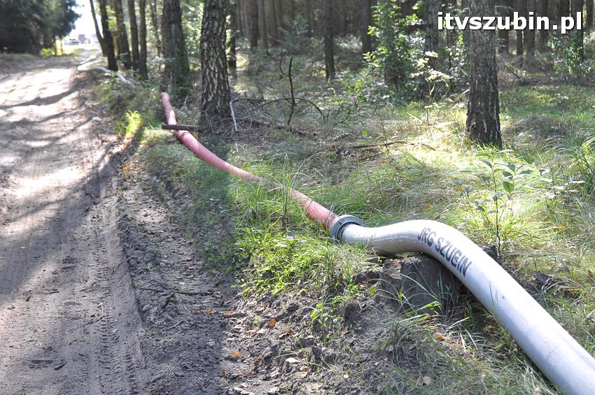 Ćwiczenia taktyczne na terenie leśnictwa Gąbin