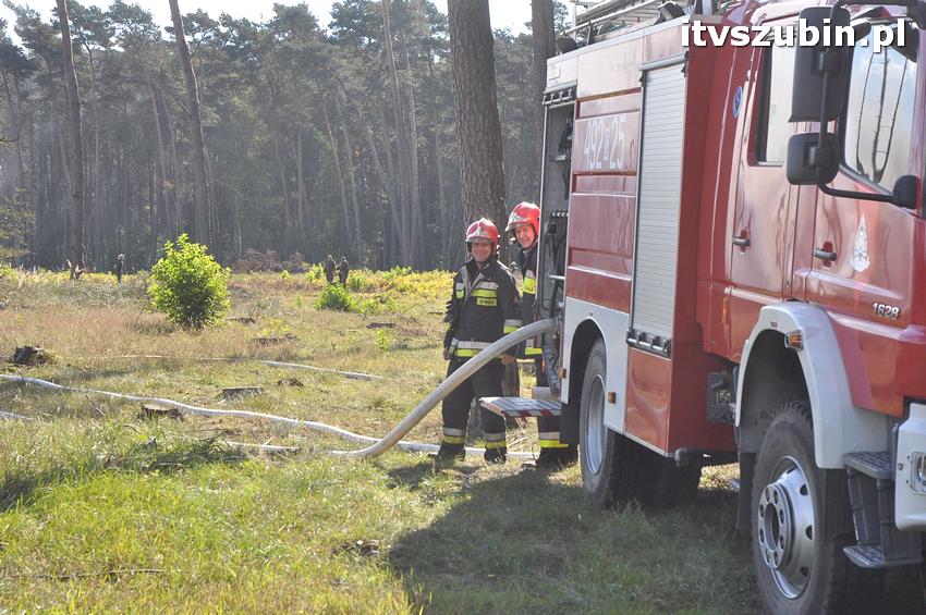 Ćwiczenia taktyczne na terenie leśnictwa Gąbin