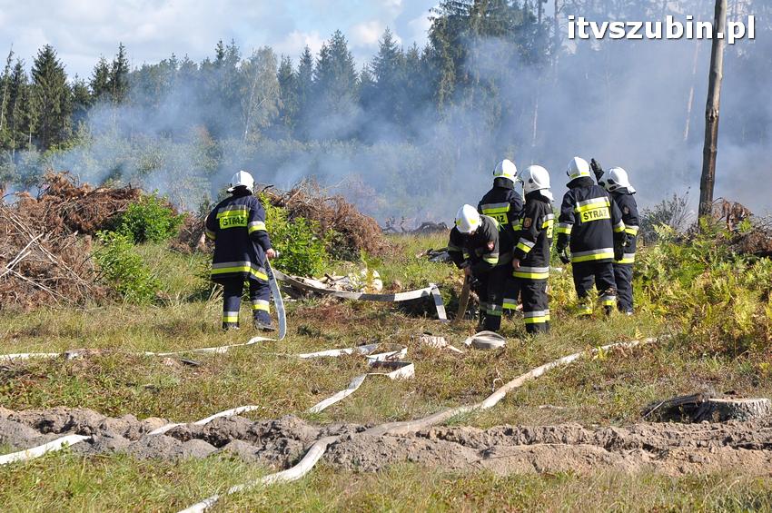 Ćwiczenia taktyczne na terenie leśnictwa Gąbin