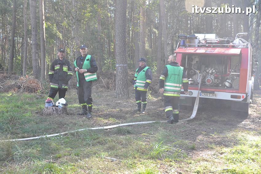 Ćwiczenia taktyczne na terenie leśnictwa Gąbin