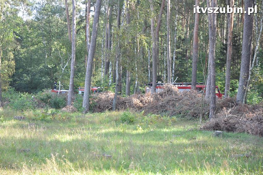 Ćwiczenia taktyczne na terenie leśnictwa Gąbin