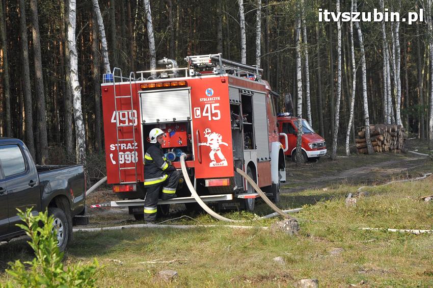 Ćwiczenia taktyczne na terenie leśnictwa Gąbin