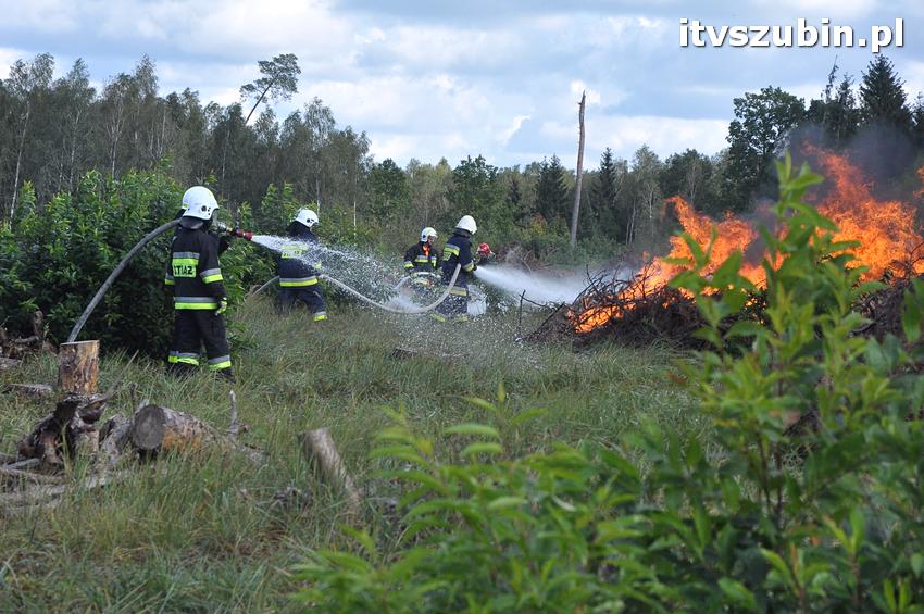Ćwiczenia taktyczne na terenie leśnictwa Gąbin