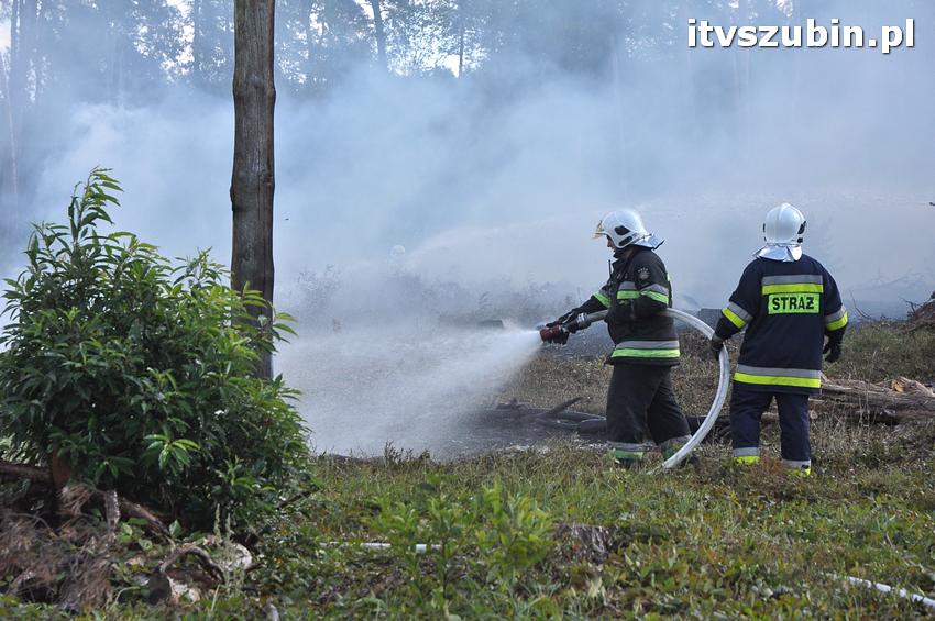 Ćwiczenia taktyczne na terenie leśnictwa Gąbin