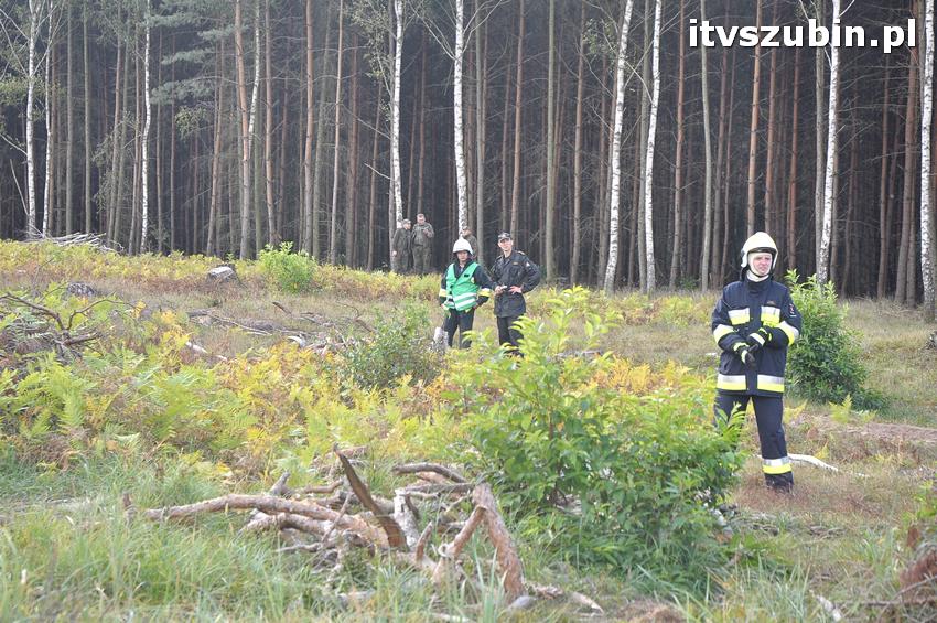Ćwiczenia taktyczne na terenie leśnictwa Gąbin