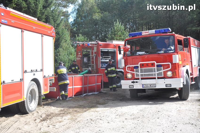 Ćwiczenia taktyczne na terenie leśnictwa Gąbin