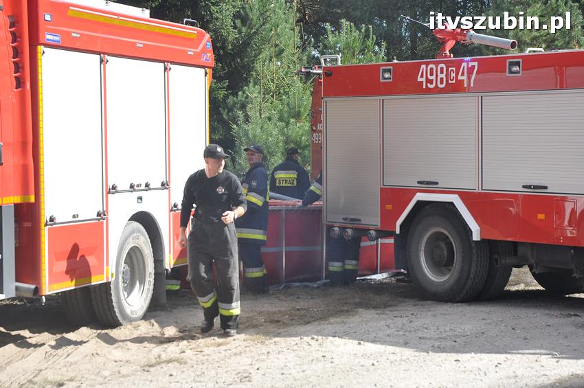Ćwiczenia taktyczne na terenie leśnictwa Gąbin