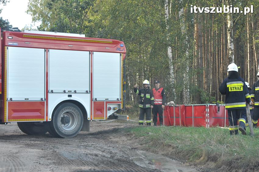 Ćwiczenia taktyczne na terenie leśnictwa Gąbin