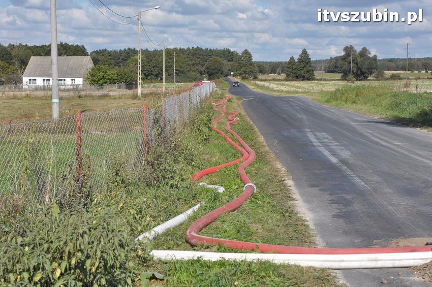 Ćwiczenia taktyczne na terenie leśnictwa Gąbin