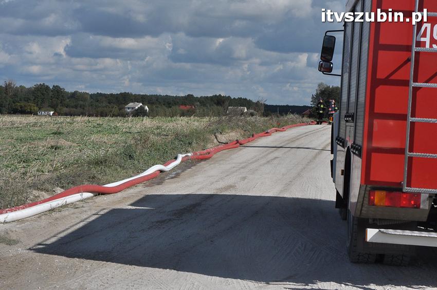 Ćwiczenia taktyczne na terenie leśnictwa Gąbin