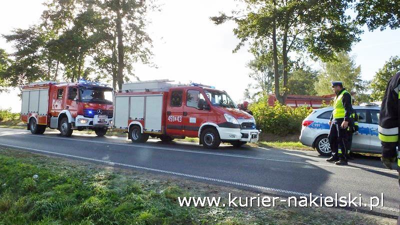 Buraki cukrowe na jezdni drogi wojewódzkiej w Kosowie