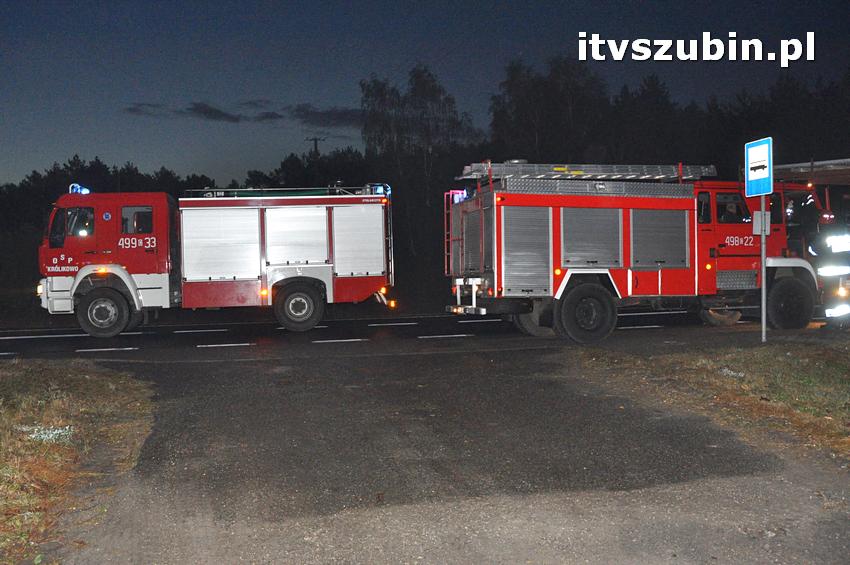 Pożar domu jednorodzinnego w Nowym Świecie