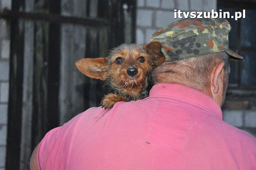 Pożar domu jednorodzinnego w Nowym Świecie