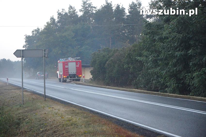 Pożar domu jednorodzinnego w Nowym Świecie