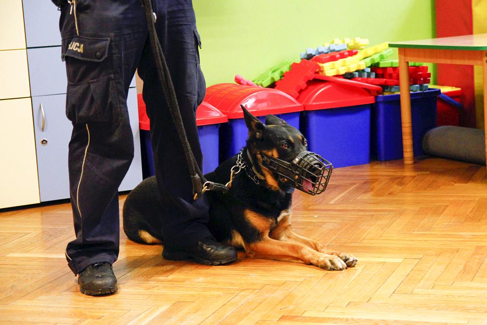 Warsztatów z Policjantami w ZS w Szubinie
