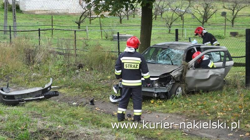 Zdarzenie drogowe na drodze krajowej nr 10 w Trzeciewnicy