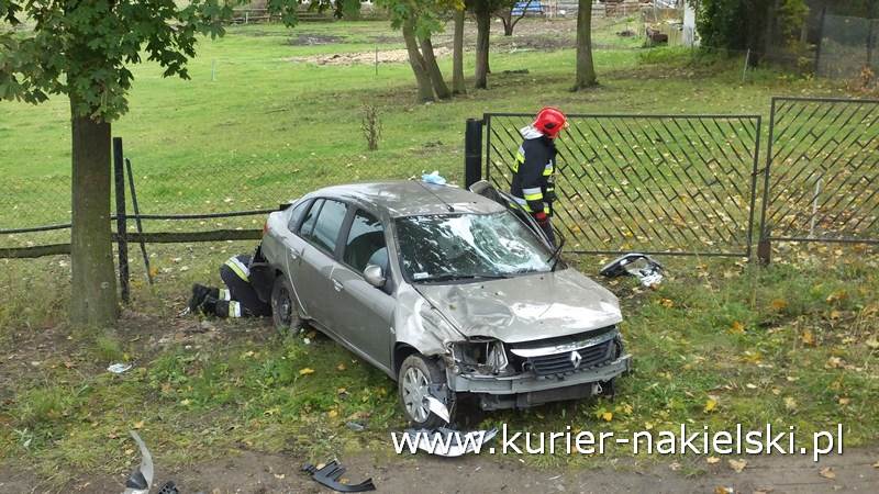 Zdarzenie drogowe na drodze krajowej nr 10 w Trzeciewnicy