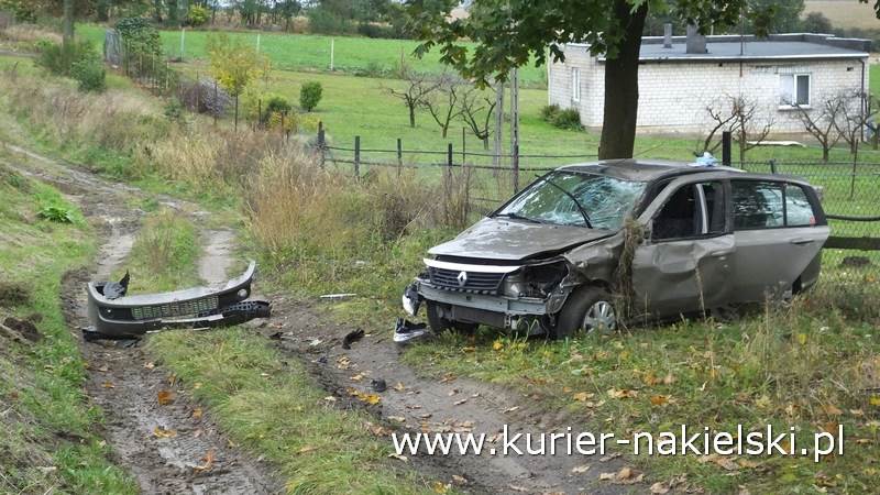 Zdarzenie drogowe na drodze krajowej nr 10 w Trzeciewnicy