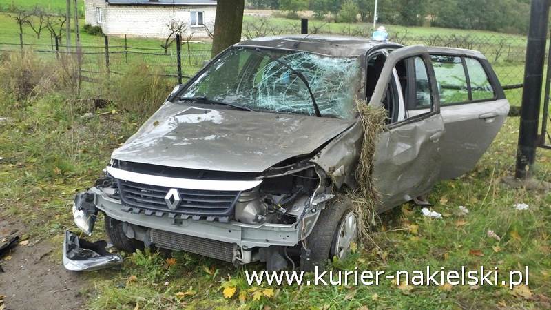Zdarzenie drogowe na drodze krajowej nr 10 w Trzeciewnicy