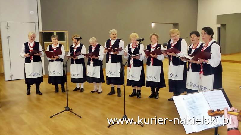 Odznaczenia i wyróżnienia dla krwiodawców