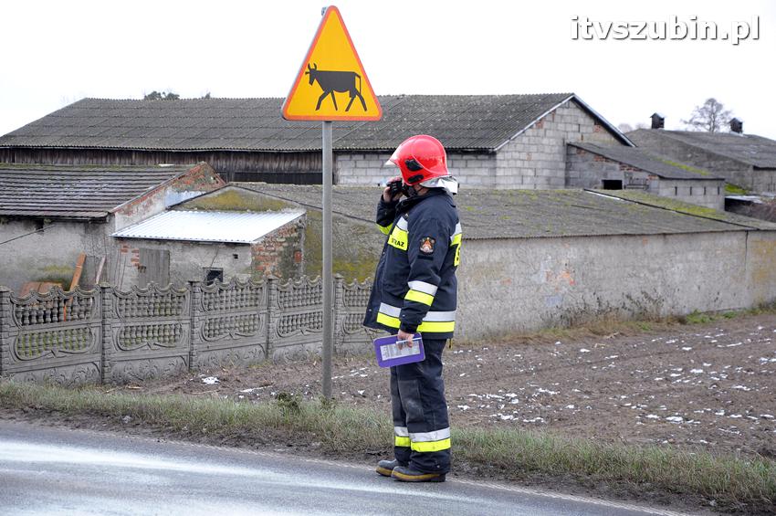Kierowca peugeota ściął dwa znaki przed Wolwarkiem