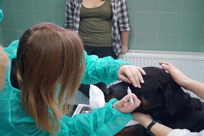 Z wizytą w Zespole Szkół Centrum Kształcenia Rolniczego w Bydgoszczy