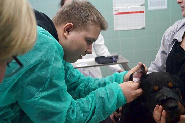 Z wizytą w Zespole Szkół Centrum Kształcenia Rolniczego w Bydgoszczy