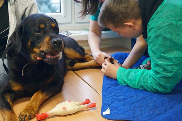 Z wizytą w Zespole Szkół Centrum Kształcenia Rolniczego w Bydgoszczy