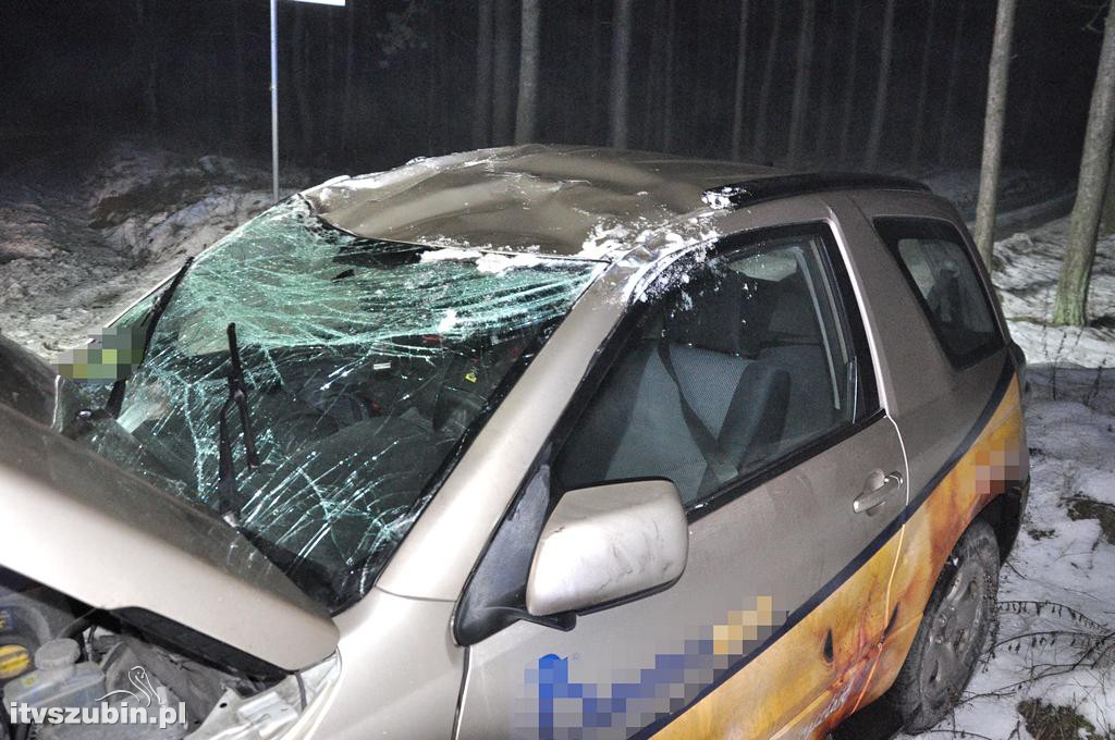 Dachowanie w Kowalewie