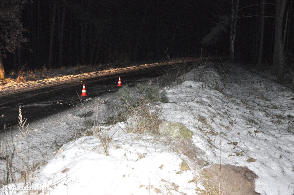 Dachowanie w Kowalewie