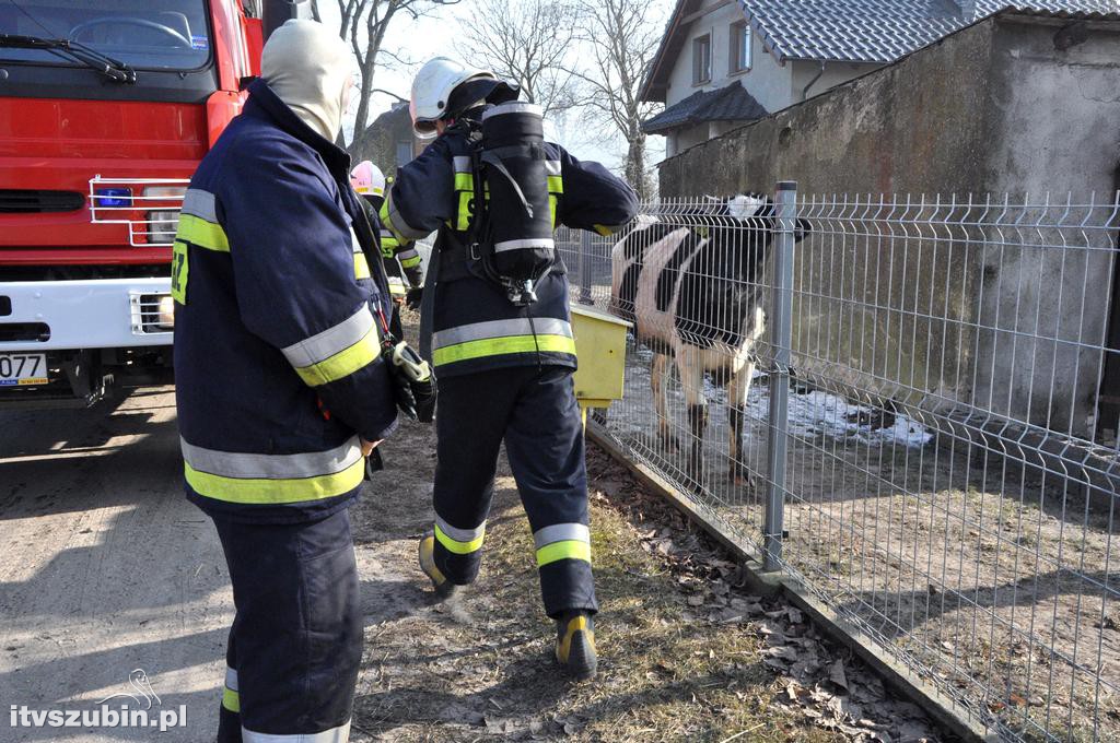 Pożar balotów w Smolnikach