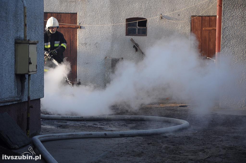 Pożar w domu jednorodzinnym w Szubinie