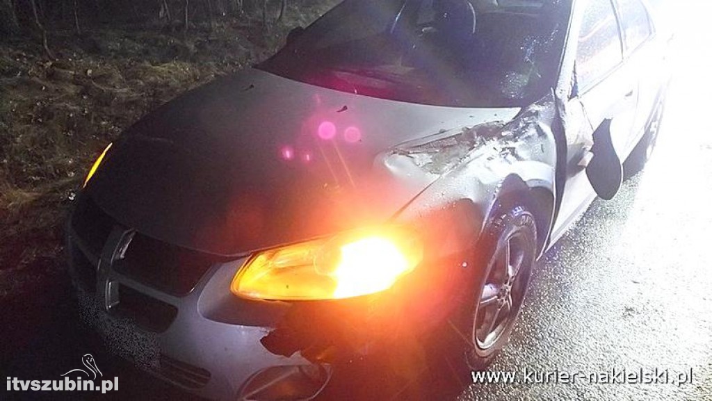 Karambol pomiedzy Występem, a Potulicami