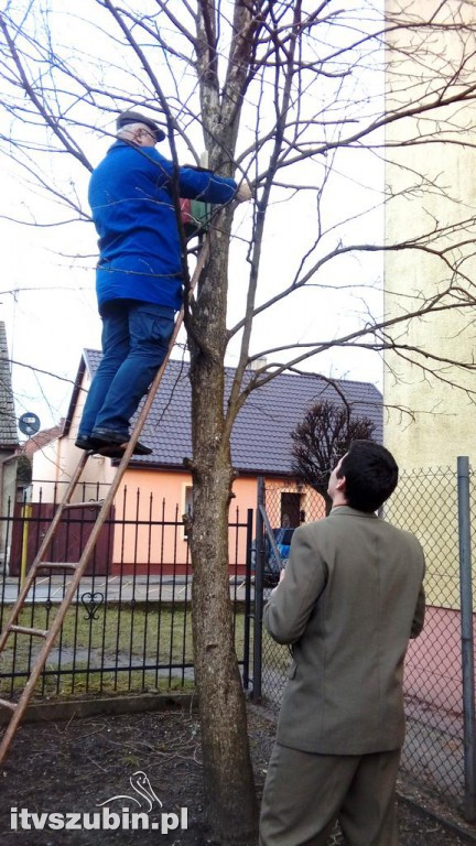 Pierwszy dzień wiosny w szubińskiej trójce