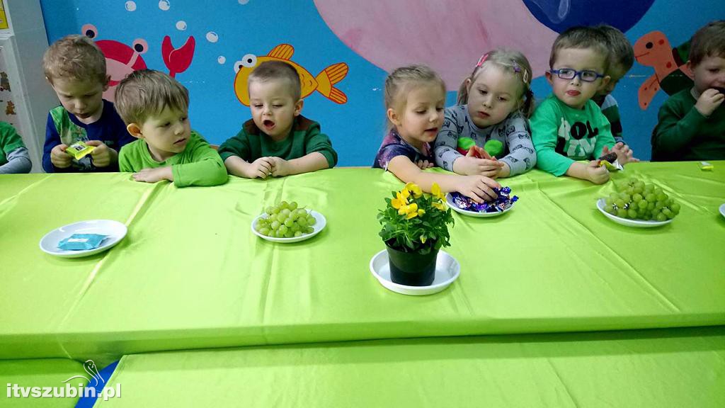 Pierwszy zielony dzień wiosny w szubińskim Słoneczku