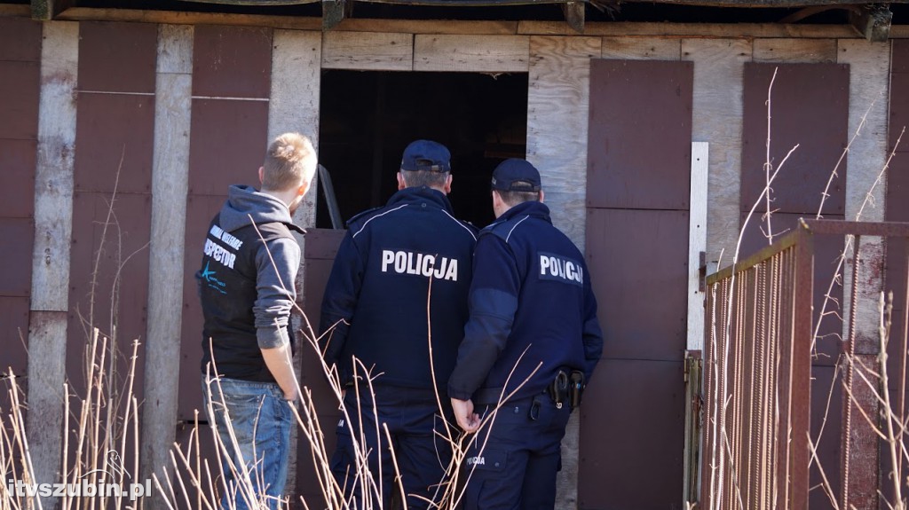 Trzy cierpiące konie i owczarek odebrane właścicielce