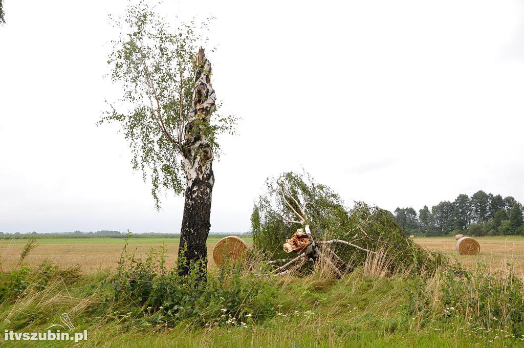 Tragiczny efekt nawałnic w Gminie Szubin_2