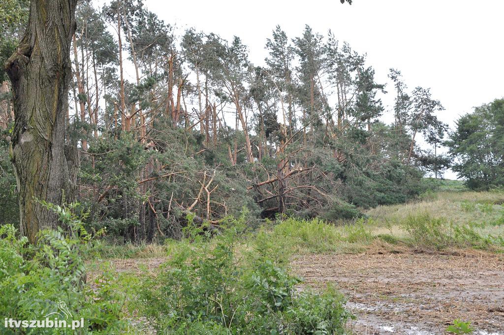 Tragiczny efekt nawałnic w Gminie Szubin_2