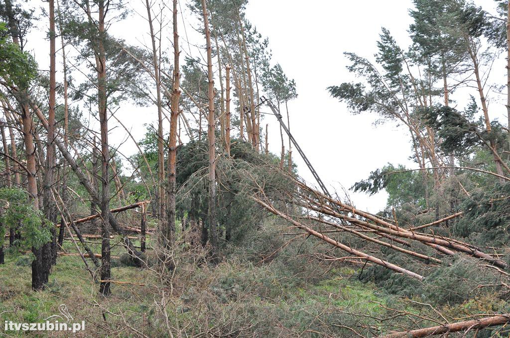 Tragiczny efekt nawałnic w Gminie Szubin_2