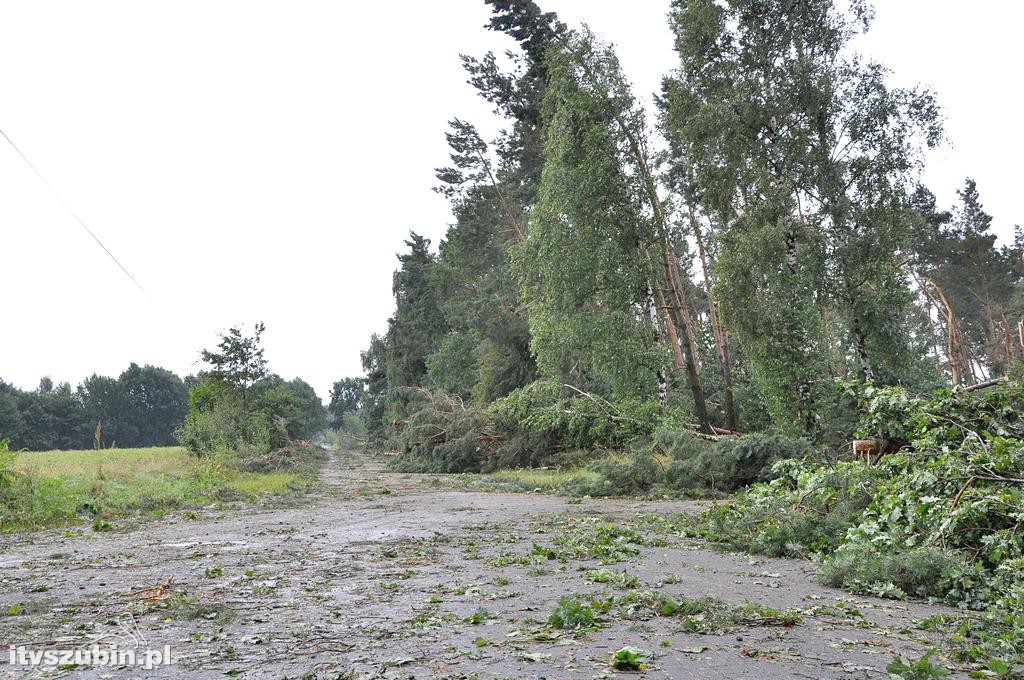 Tragiczny efekt nawałnic w Gminie Szubin_2