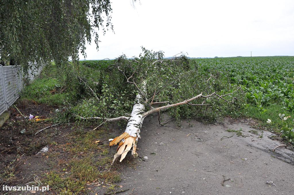 Tragiczny efekt nawałnic w Gminie Szubin_2