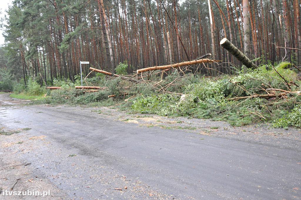 Tragiczny efekt nawałnic w Gminie Szubin_2