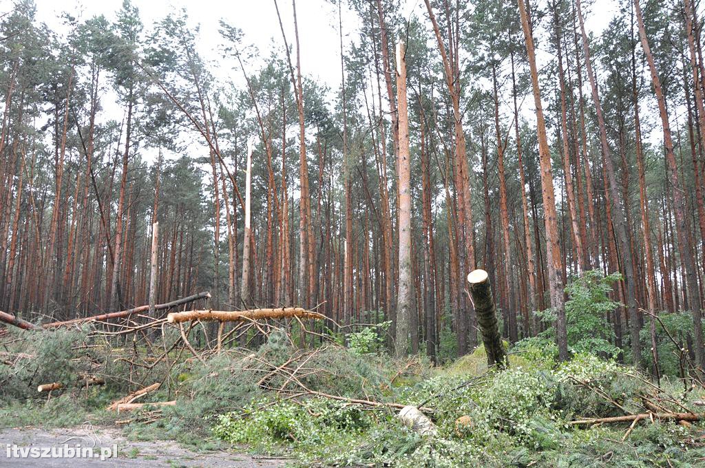 Tragiczny efekt nawałnic w Gminie Szubin_2