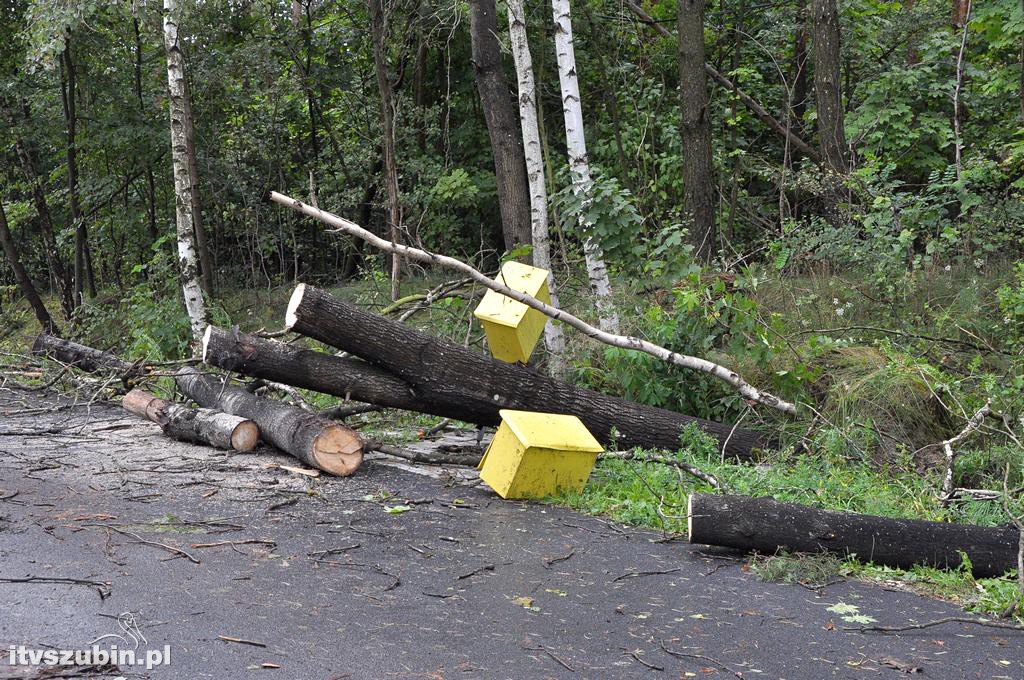 Tragiczny efekt nawałnic w Gminie Szubin_2