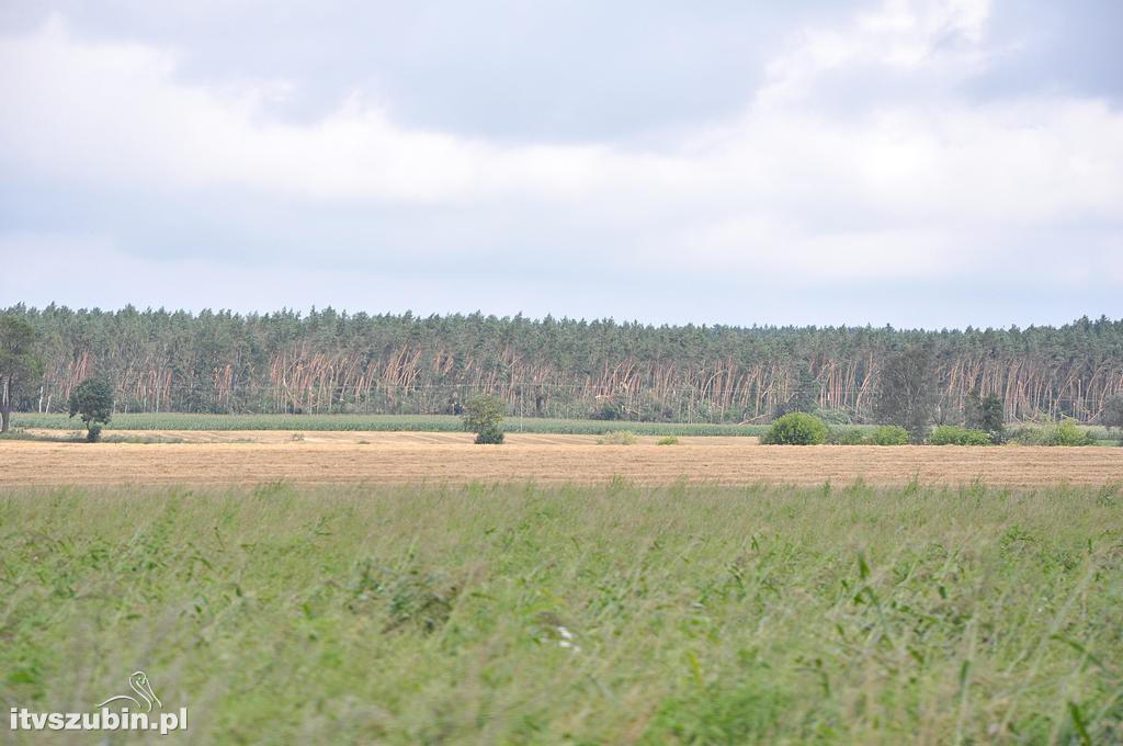 Tragiczny efekt nawałnic w Gminie Szubin_2