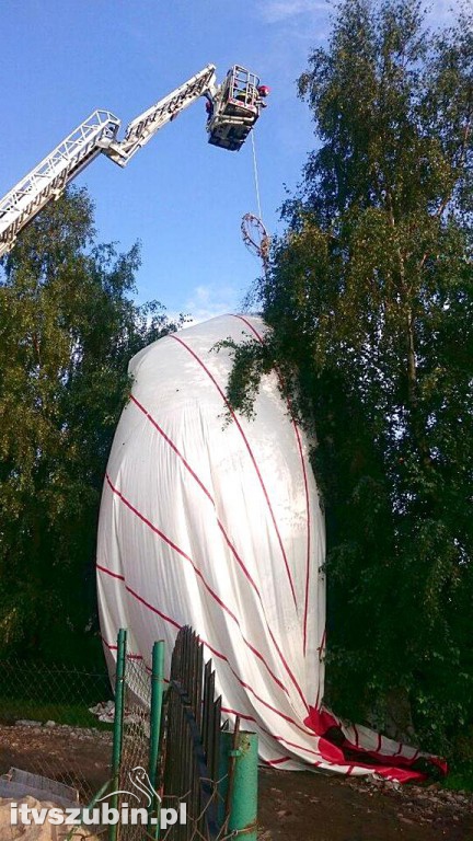 Balon wylądował w ogródki na jednej z posesji w Szubinie