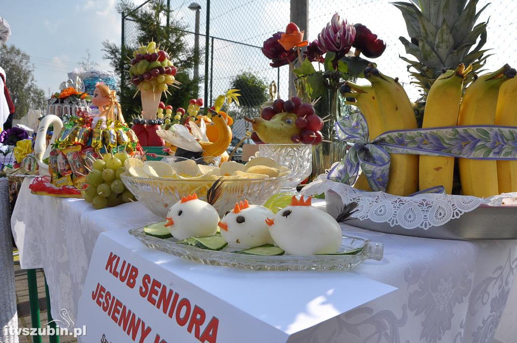 Gminne Dni Seniora - Senioriada 2017