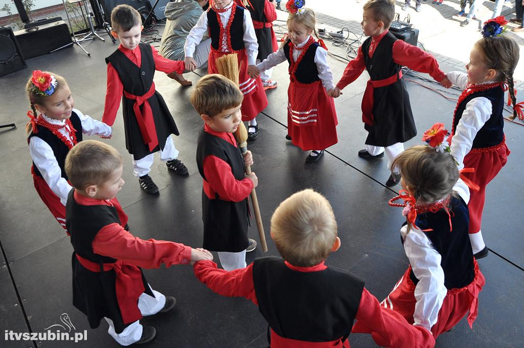 Gminne Dni Seniora - Senioriada 2017