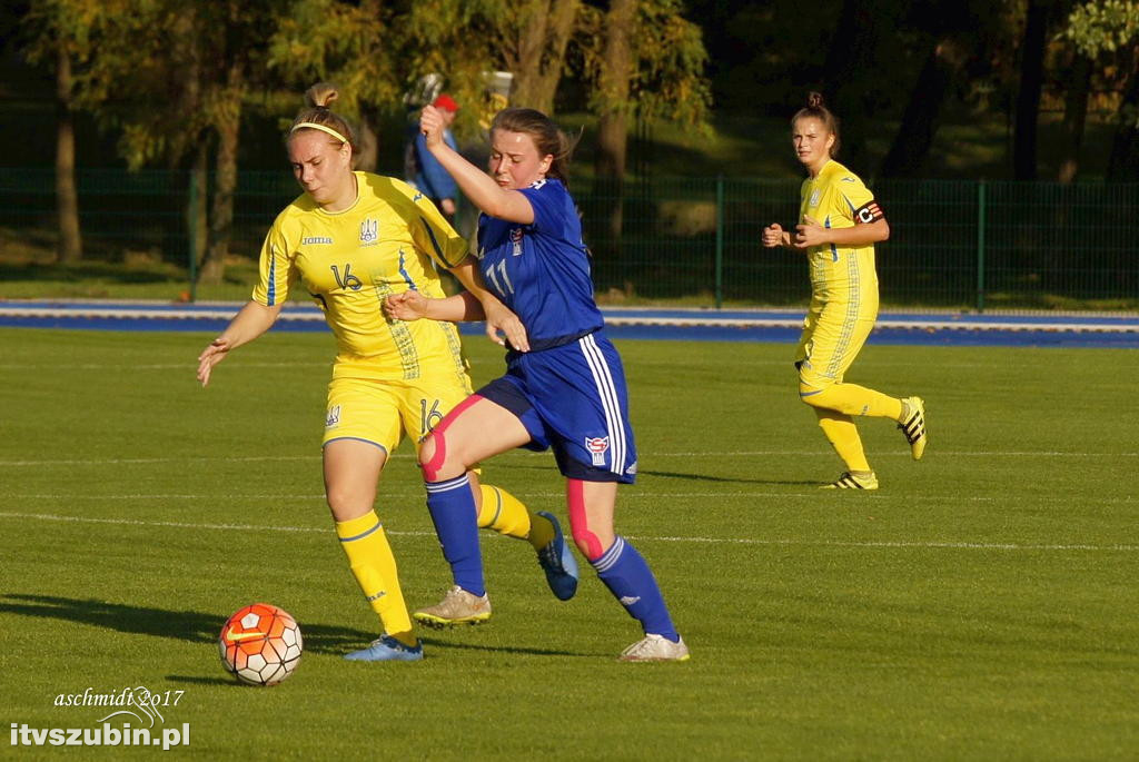 WYSPY OWCZE - UKRAINA 1:6