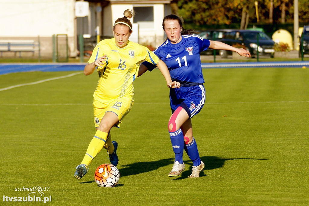 WYSPY OWCZE - UKRAINA 1:6